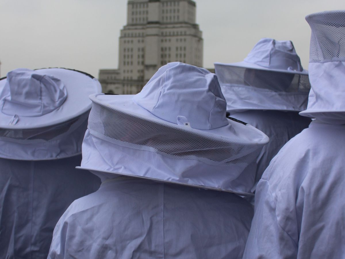 Project: Being Human&nbsp;Festival